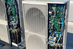 PHOTO-2023-03-17-09-20-39