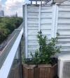 IMG-20190812-WA0002